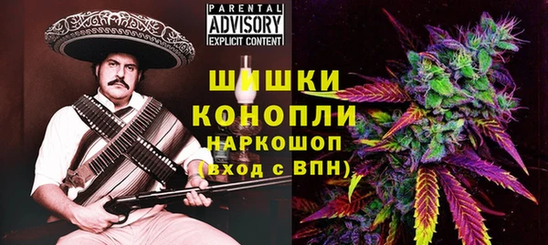 амф Богородск