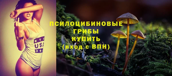 амф Богородск
