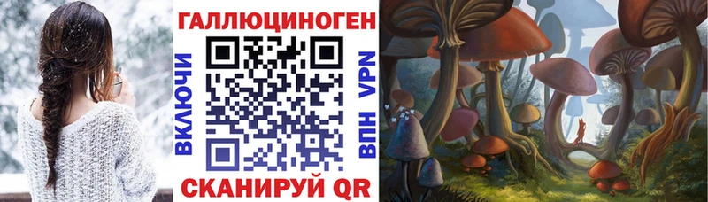 блэк спрут tor  Свободный  Галлюциногенные грибы Psilocybe 